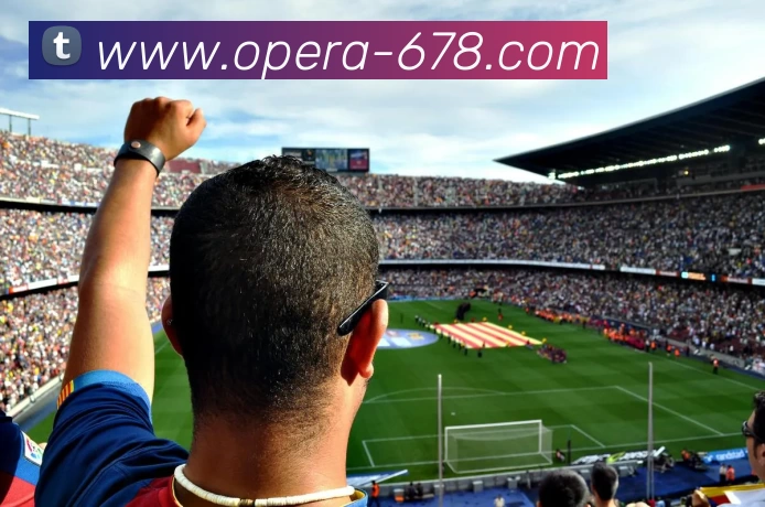 678体育APP 封面图